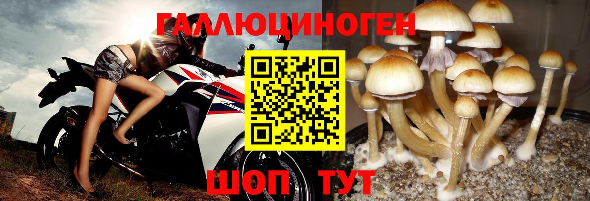Псилоцибиновые грибы MAGIC MUSHROOMS Гусиноозёрск
